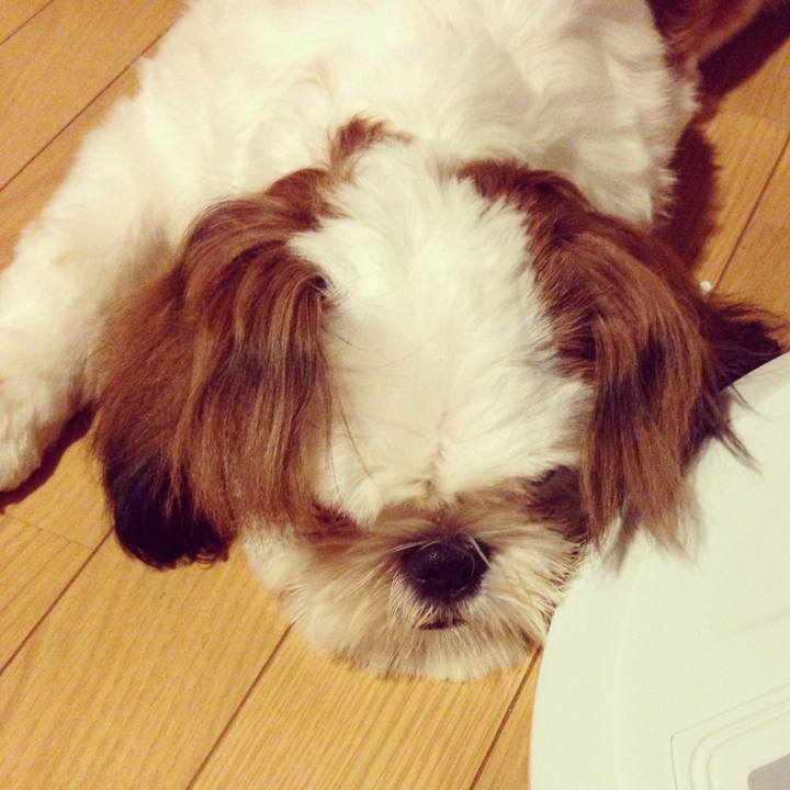 31da907e f389 428d b463 2a815722f612