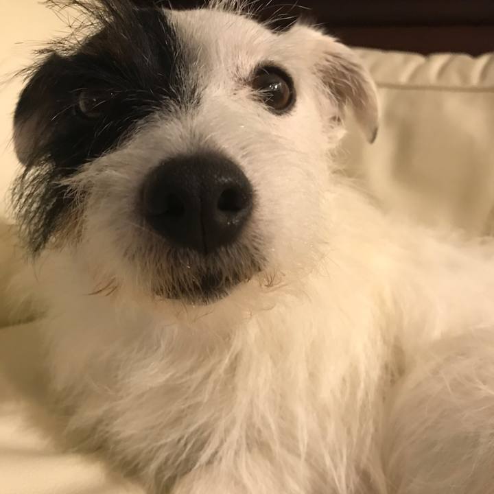 31dada09 8577 4380 96dc fd79dafaa168