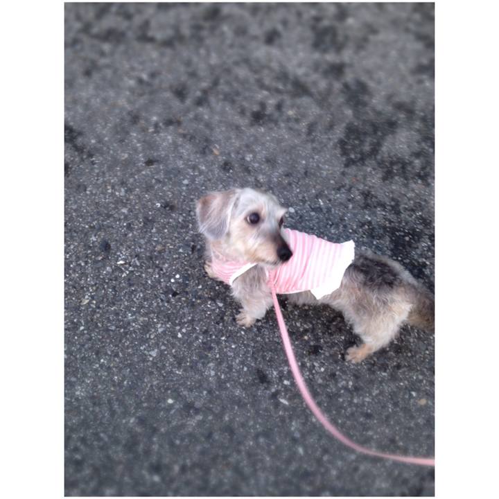 31daf725 ea2e 4d39 9e08 0a21f3d16577