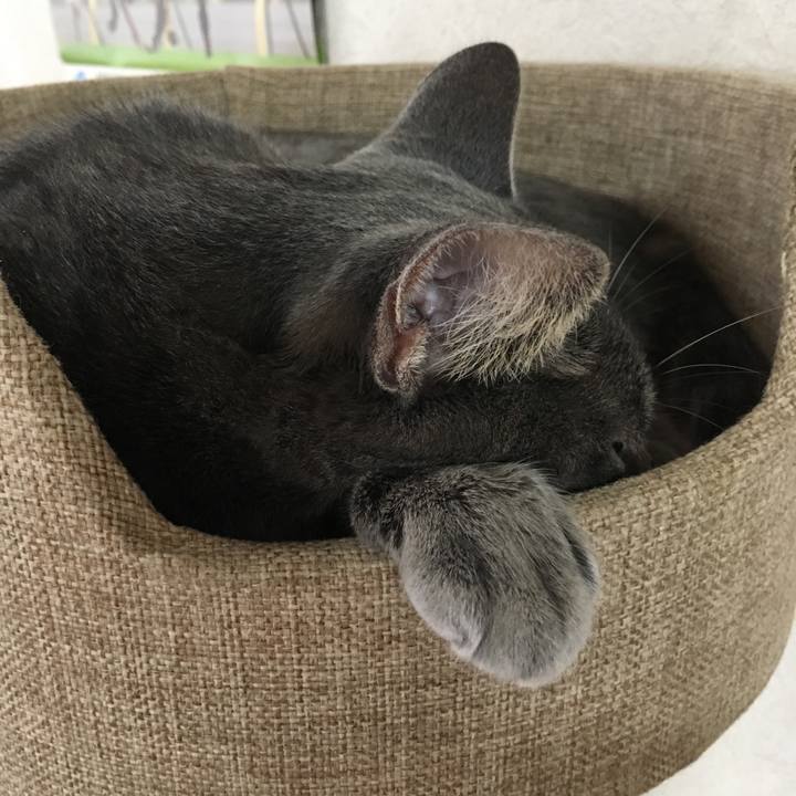 31db4bfa bdfe 432a 8c2f a355dbf967f2