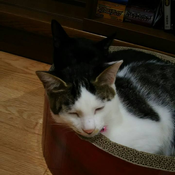 31db7ed2 4252 4439 96d4 9d96b25faae7