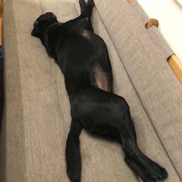 31db88c0 e271 4423 ba61 f2661fb306e6