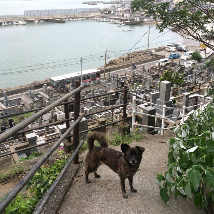 31db8fa3 1407 4beb 8c3a 105c1539e39f