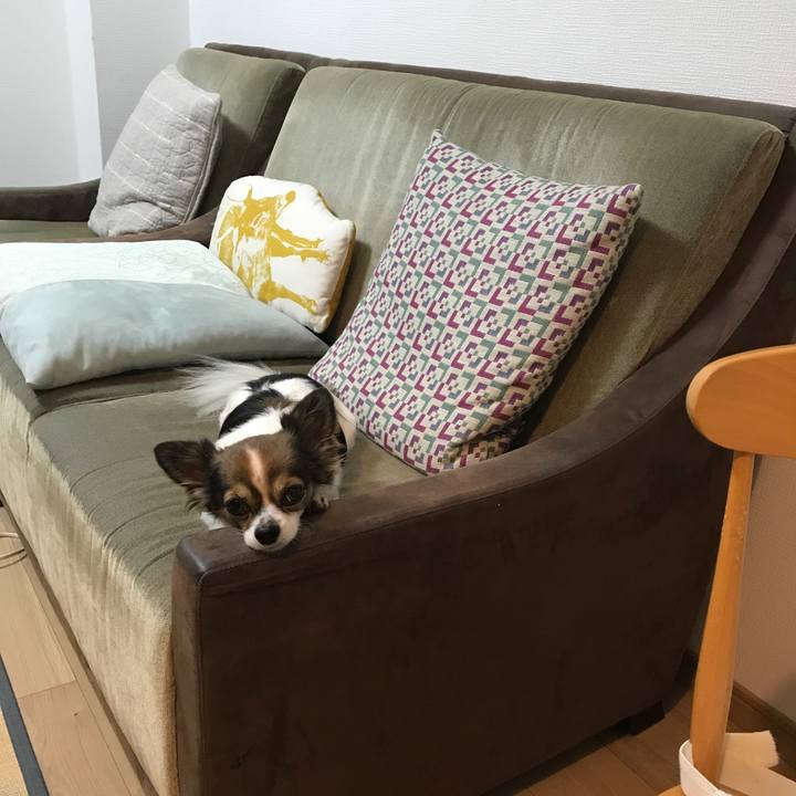 31dc377a 093e 4a78 a5b1 65645a2a1a3d