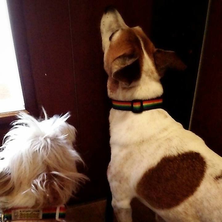 31dcdfe6 794b 48f0 818a c03fff77e2fd