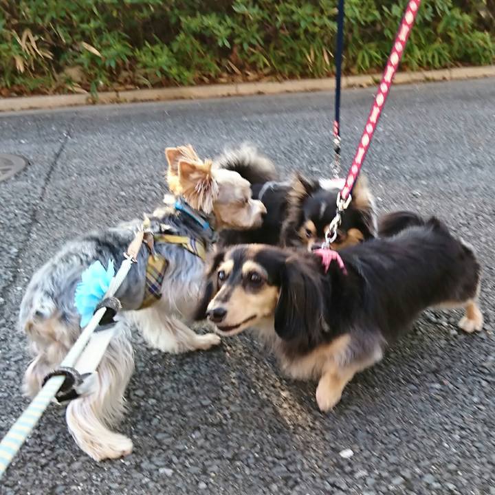 31dd9b3e 3929 458f 9030 3f3249ee1893