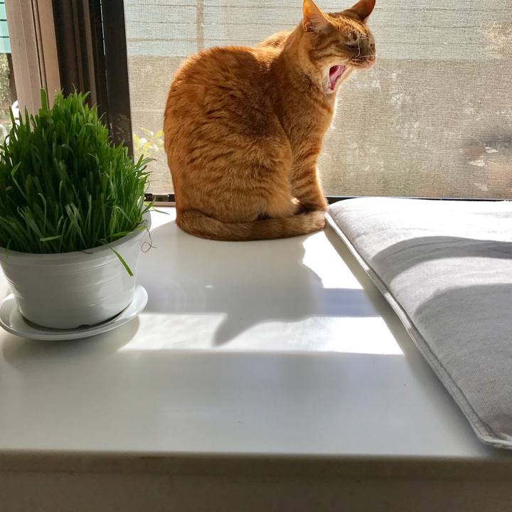 31de7571 48d1 4f23 b0e9 d5845f66acd0