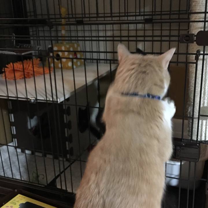 31dea876 ecf1 41e7 8d8a 2664b7b52f15