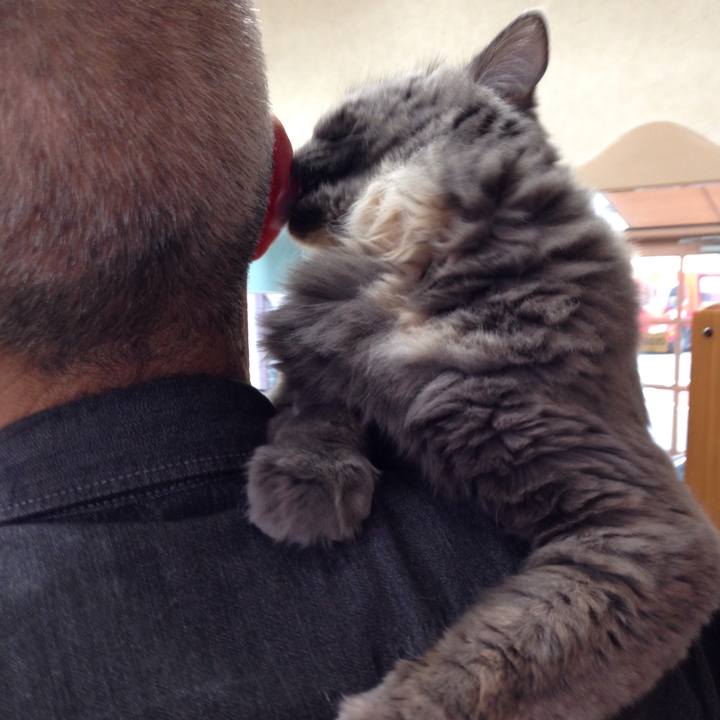 31df162b 6abb 4ecc babd 3e12b3a43754