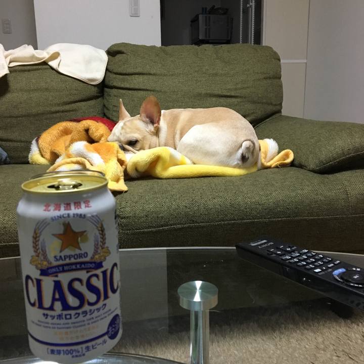 31df390d 2dbb 4853 a6f2 18e86b6949fd