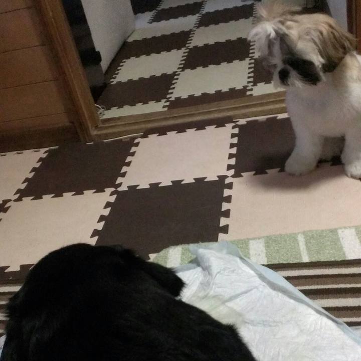 31e05599 da3b 4185 bdee ac3af8d44a0c