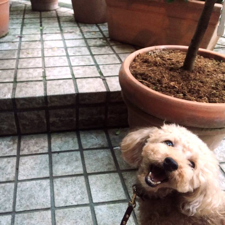 31e07a13 611c 4aa2 a8cb a20140b3ef2f