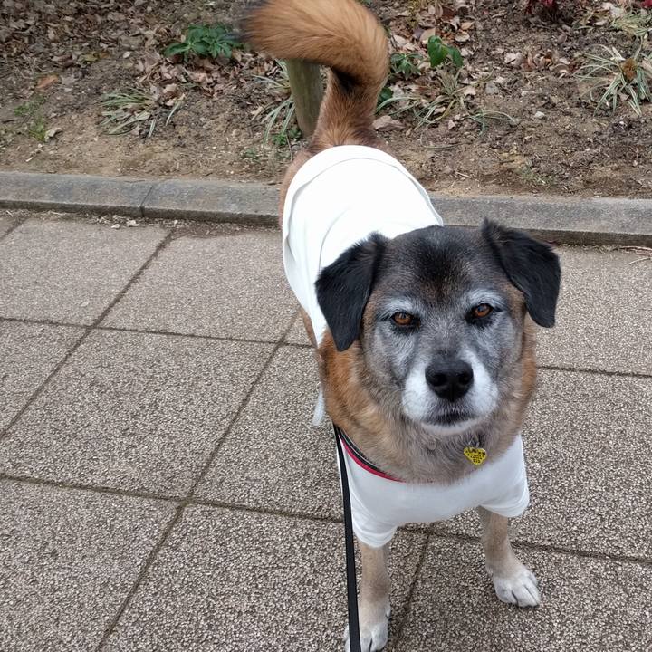 31e0b13a 5de5 4ee0 b54e fb16c6aed37f