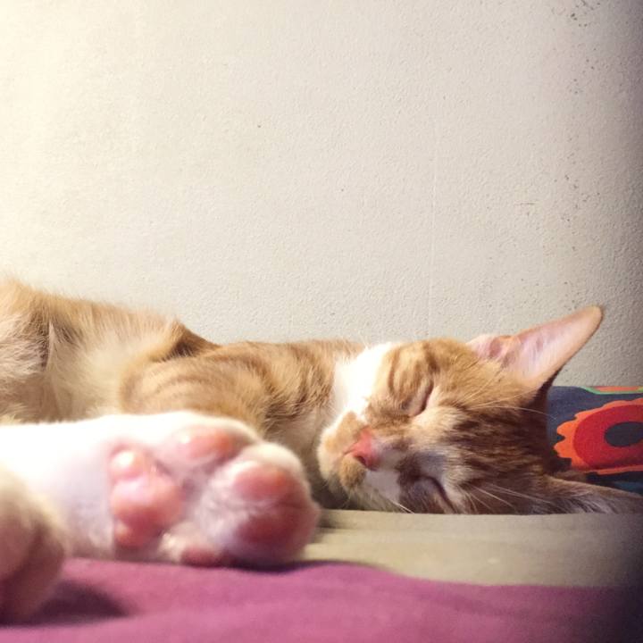 31e10e9c 8336 4510 ae39 2112963ea679