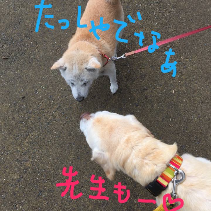 31e117e8 47a3 4fbc 8aa4 e6cb49e251e3