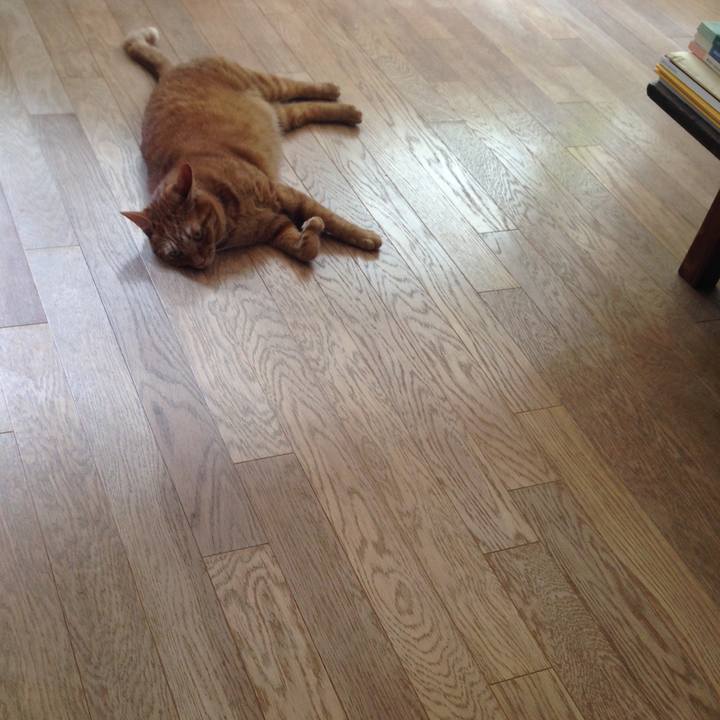 31e17914 1e57 402b 97e8 07fc2fc151e5