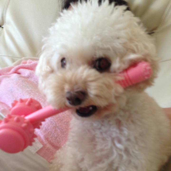 31e196e7 da4f 407e 8ce5 9adc72d82af1