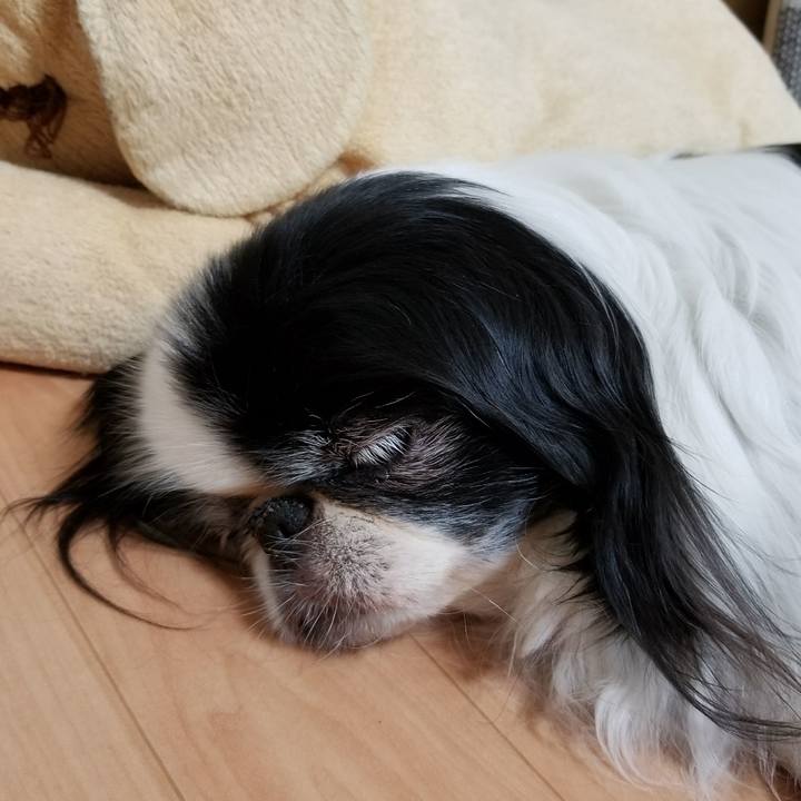 31e1c9ee 43ae 446c 8426 f5536473807d