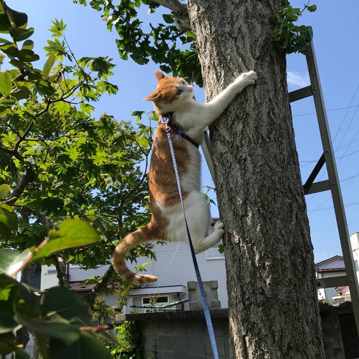 31e22791 4902 43e8 9e9a 9e9d3ca00147