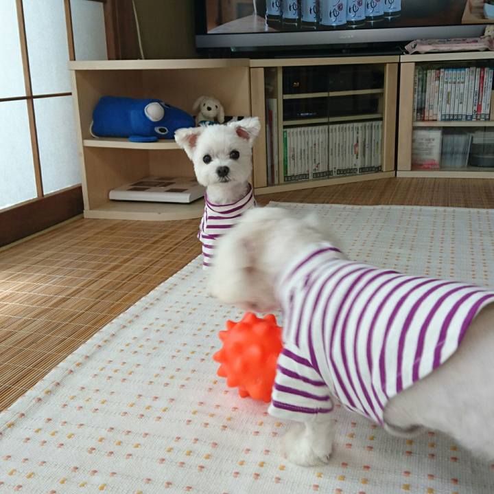 31e35748 9715 4dda 9988 186d0c1642c6