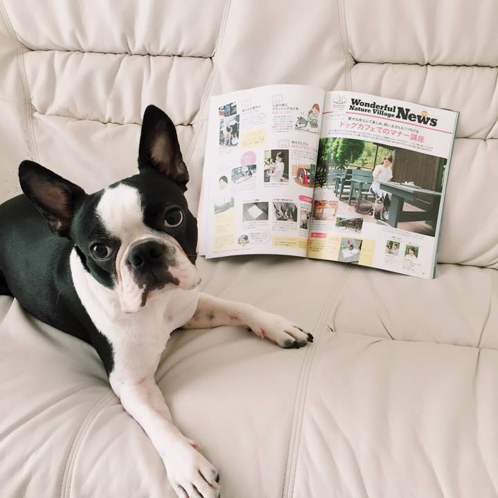 31e36e5b ab7a 4b93 8515 e8554af91578