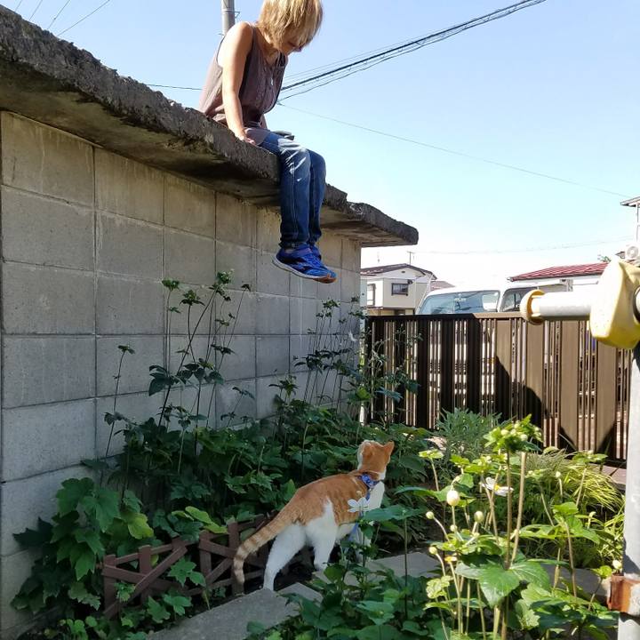 31e39eb2 94bf 4173 a40e 8d4e90cf124f