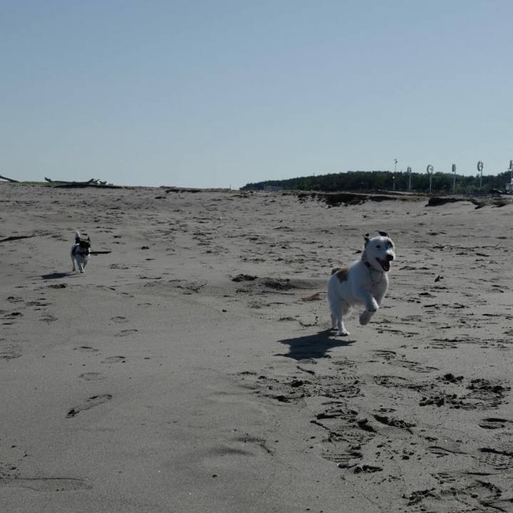 31e3c953 e15f 44f1 ab26 21f3cd79f571