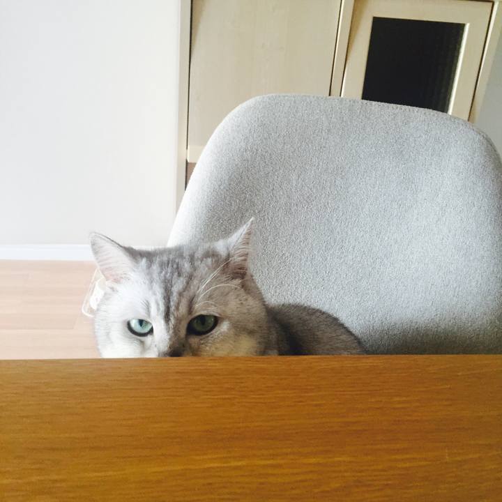 31e3ffe7 bd07 41ef bfab 3ff721ade360