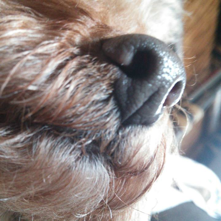 31e4404a 5060 4bce b4cc f721b3fa9d80