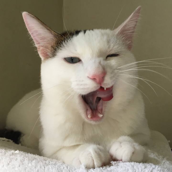 31e4656a ac14 4693 be18 3eec64b36221