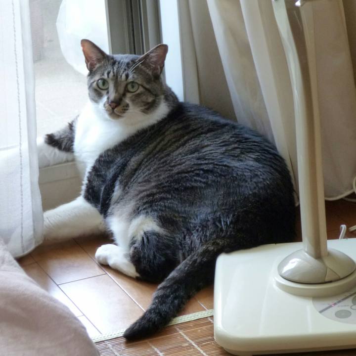 31e53f5a 36a1 499f 800c 80a84a4a2755