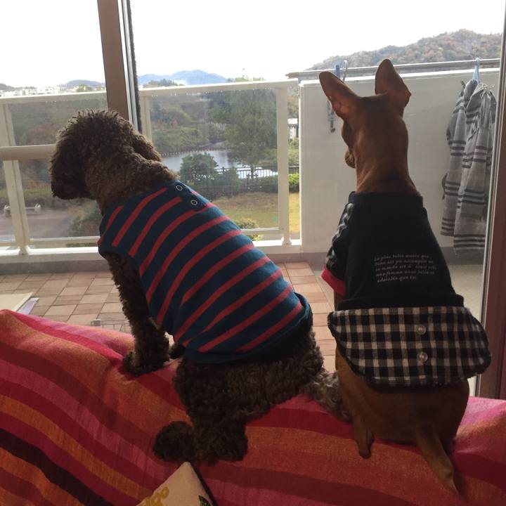 31e6320e 078b 4d26 a2ac db4be15cc74f