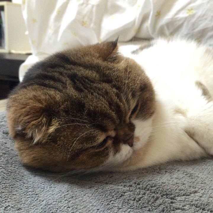 31e66708 86cc 48b7 a8a0 95bc8540aad4