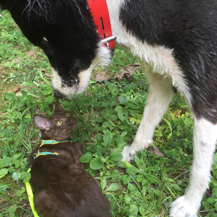 31e6a00d 50c8 4319 9af2 1ce9a78de994