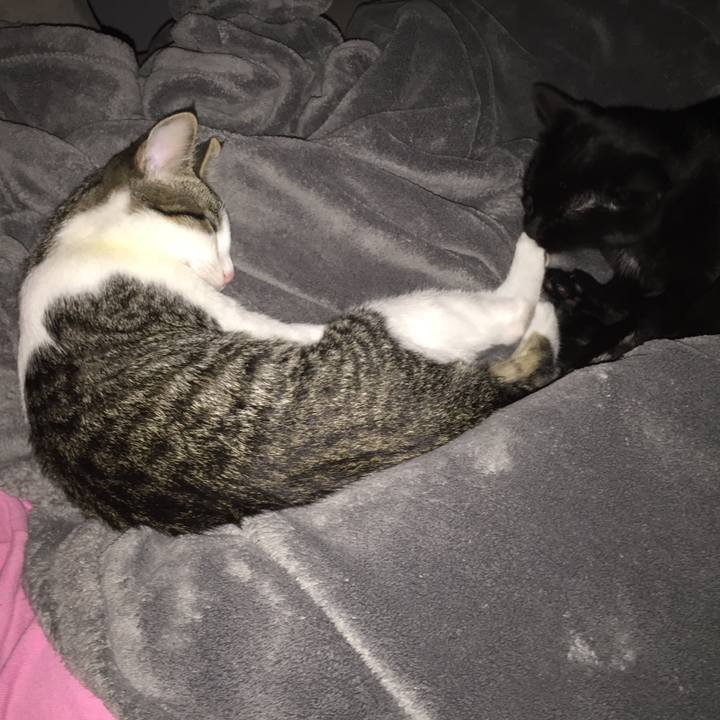 31e6d8d1 d4ae 444c 97bc fcaa425a5ffb