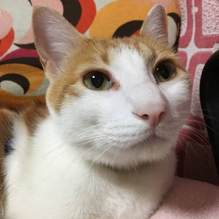 31e75a5e 23e1 4d7b 9a87 f0b043b9f9f5