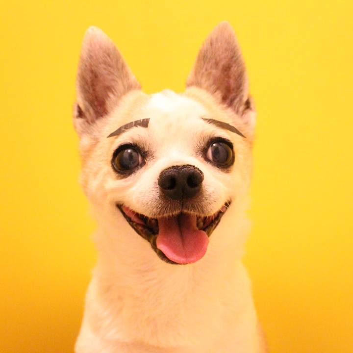 31e7aa5b 99a0 474f 8f92 0aa7087eed0f