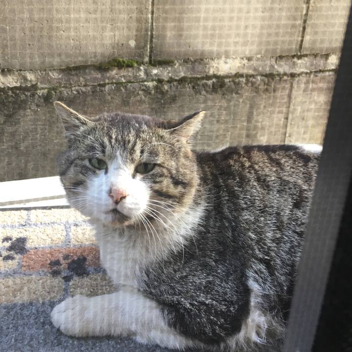 31e8342e 314b 4e01 9aaf efcd18eae167