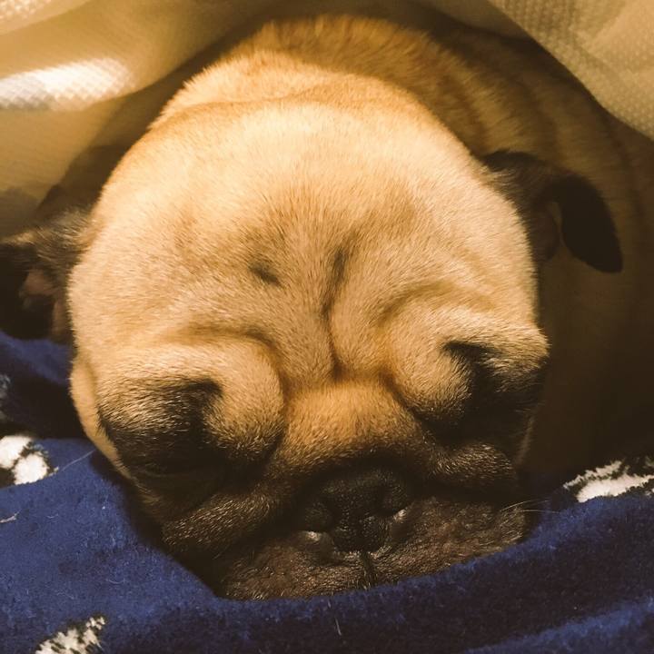 31e849e2 6876 4298 852d 81e1fdef52ce