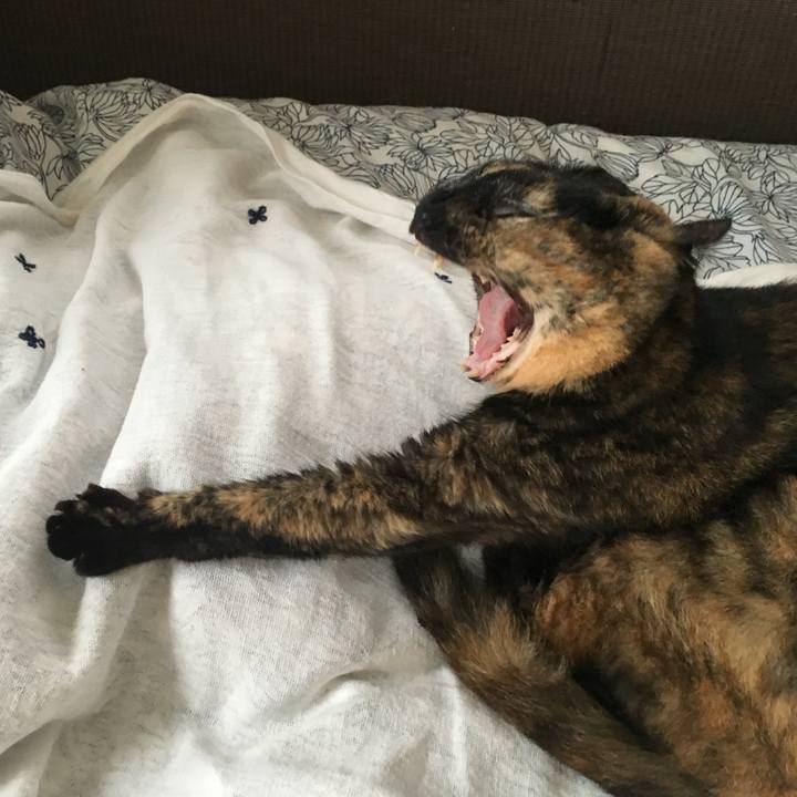 31e8ce91 d07e 4209 acba f44524c18641