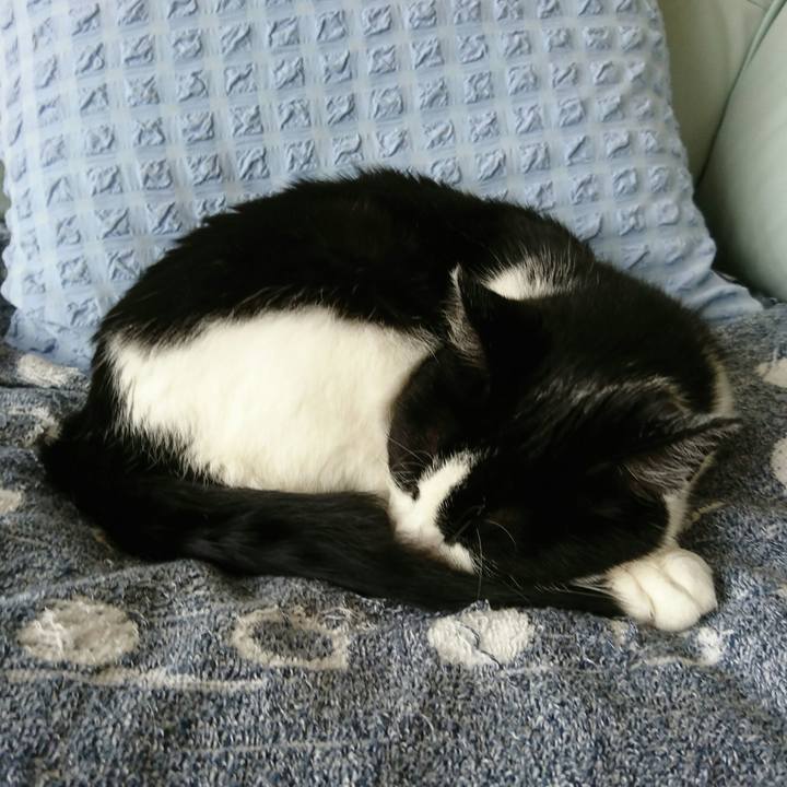 31e934ba 69d1 4409 af21 cb72fdba70ad