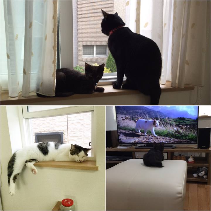 31e9aaf0 988b 451d 83a6 28f2c450835c