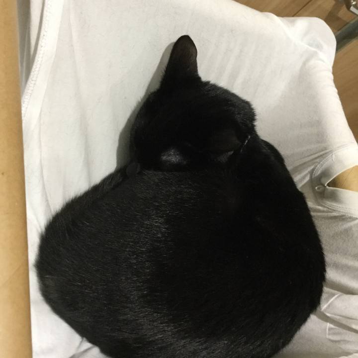 31e9cf42 b419 4293 985c 59d2ae4381bb