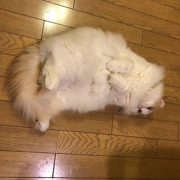 31e9d8ac 1835 4877 85c3 f4c7bbb2a9ce