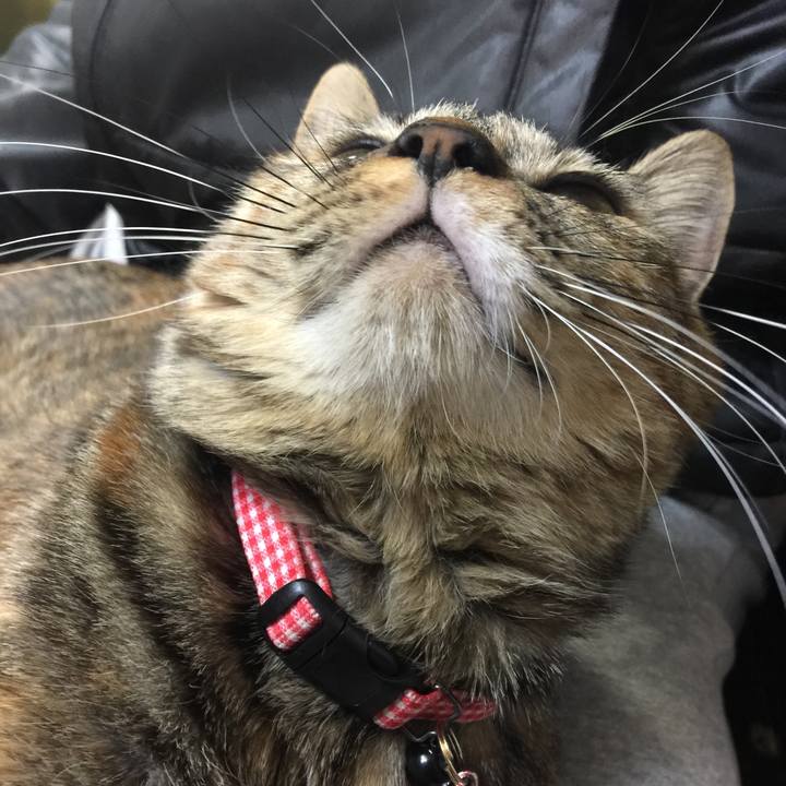 31ea3633 ae98 42b1 8e2a c35c61bacb0d