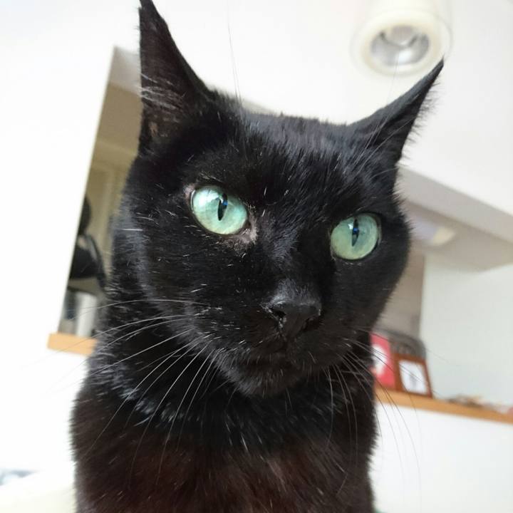 31ea3bf5 2bed 479e 887d 7c44fb668f5f