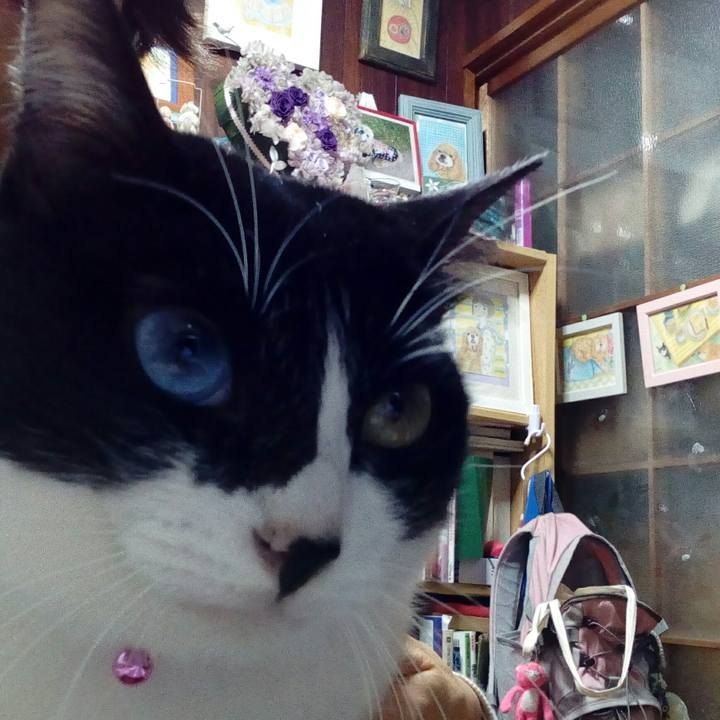 31eb021c 9b51 433d b89e c93020251534