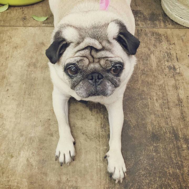 31ebc2d9 7b36 445c 98df 3a4964ec55f6