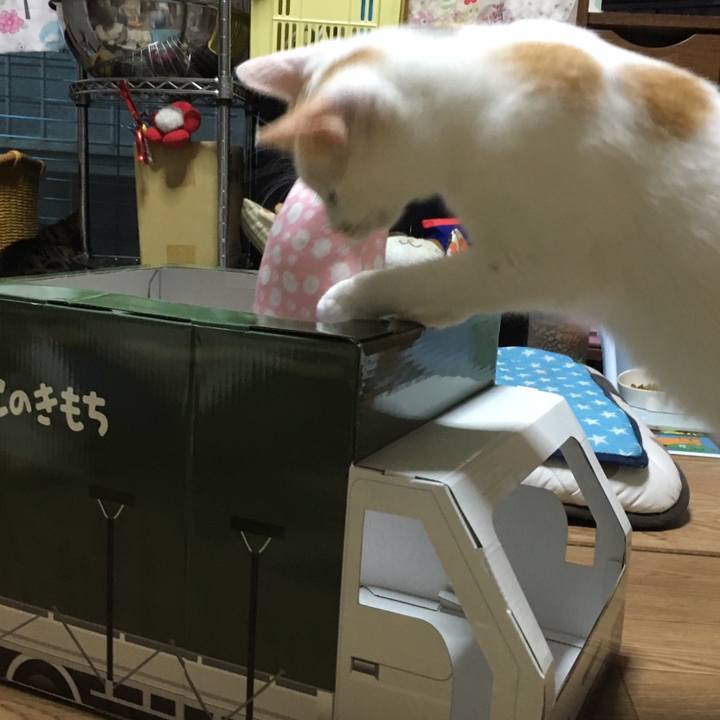 31ebd810 3d58 4a62 95ba db4bf5fc7da2