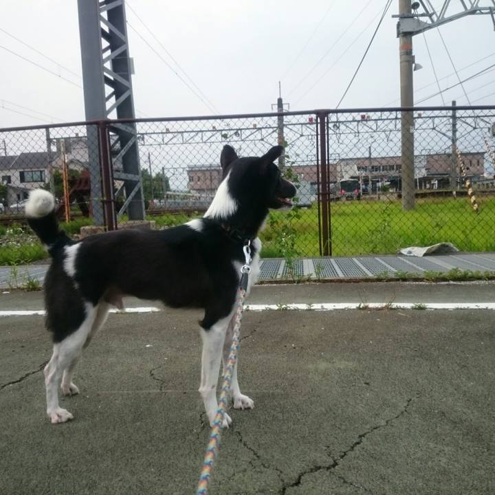 31ec10f1 0a2b 4a01 871f 2ecc260cf004